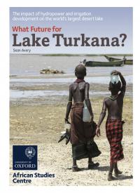 whatfuturelaketurkana update